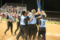 Metro South Tournament