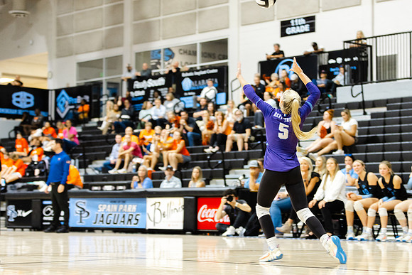 DHR51391