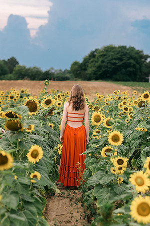 DHR52283